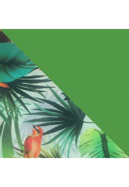 Calida Surf One Piece | Green Bird