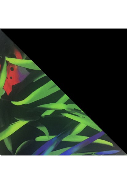 Calida Surf One Piece | Black Palm